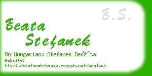 beata stefanek business card